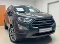Ford EcoSport Titanium°AHK°1.Hd°SHZ°PDC°Teilleder° Grau - thumbnail 1