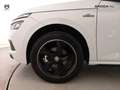 Skoda Kamiq Kamiq 1.0 G-Tec Monte Carlo Bianco - thumbnail 11