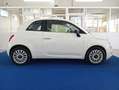 Fiat 500 1.2 LOUNGE TETTO PANORAMICO EURO6 PRONTA CONSEGNA Wit - thumbnail 5