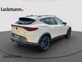 CUPRA Formentor 2.0 TSI VZ 4Drive*Navi*LED*Kamera* Weiß - thumbnail 5