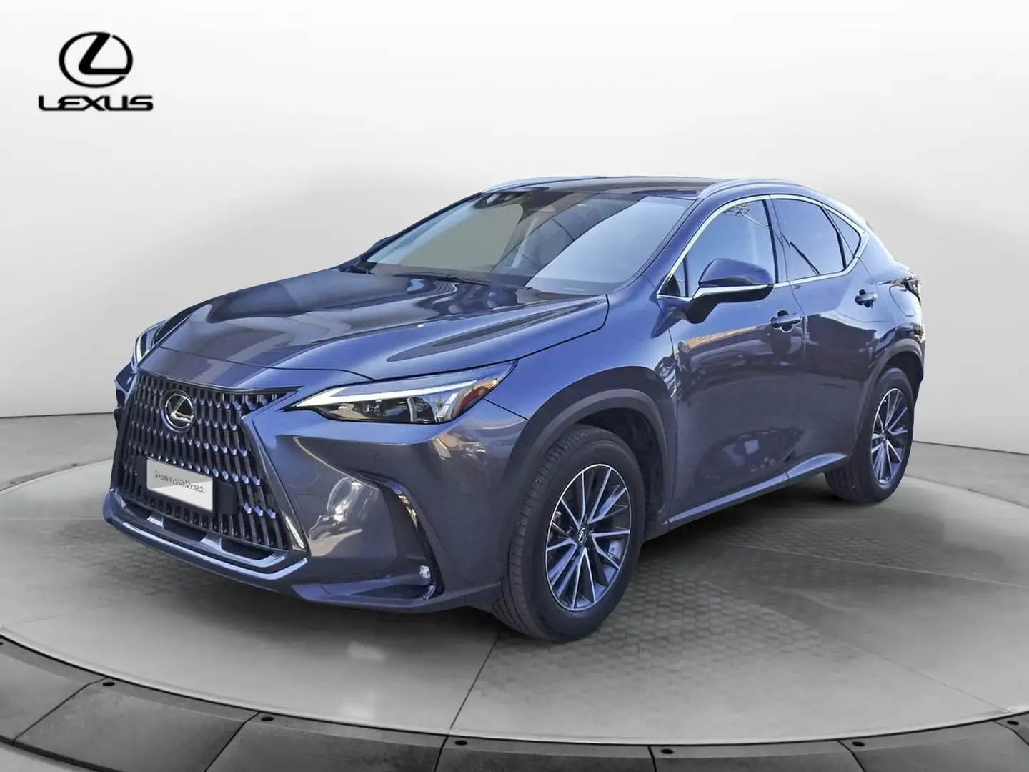 Lexus NX 300 NX Plug-in 4WD Premium Grigio - 1