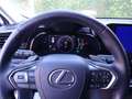 Lexus NX 300 NX Plug-in 4WD Premium Grigio - thumbnail 14