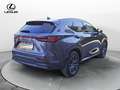 Lexus NX 300 NX Plug-in 4WD Premium Grigio - thumbnail 5