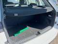 Skoda Kamiq 1.0 TSI 110 CV Style Blanc - thumbnail 13