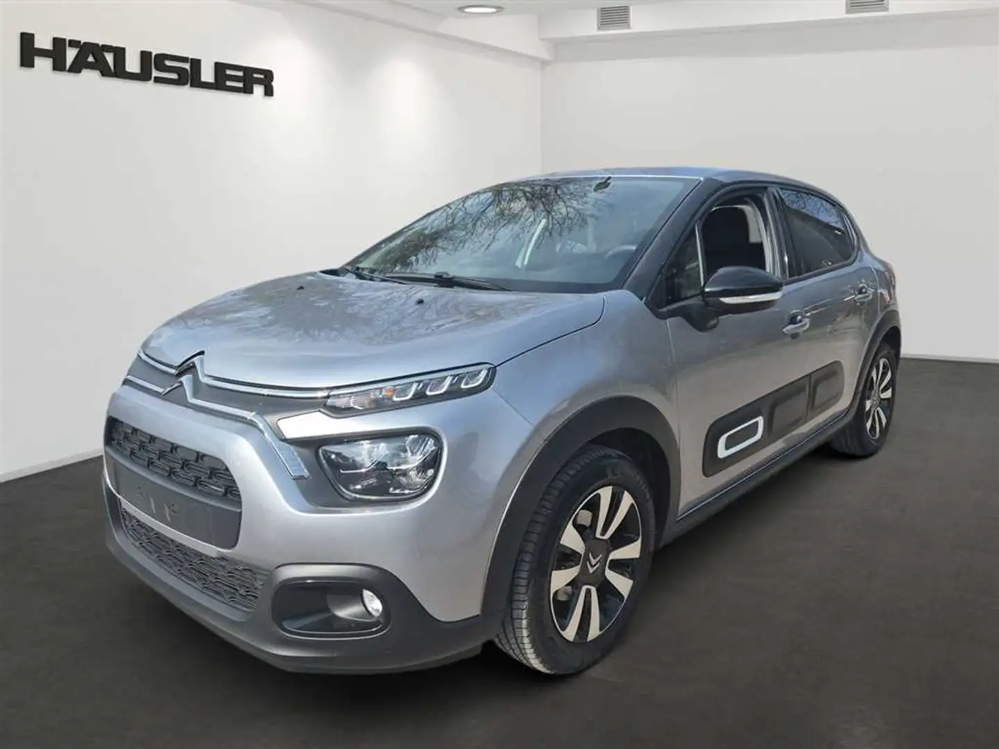 Citroen C3 Max Grau - 1