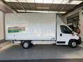 Peugeot Boxer Centinato L.4,20 M Blanc - thumbnail 4