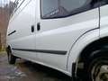 Ford Transit 140 T 350 Weiß - thumbnail 3