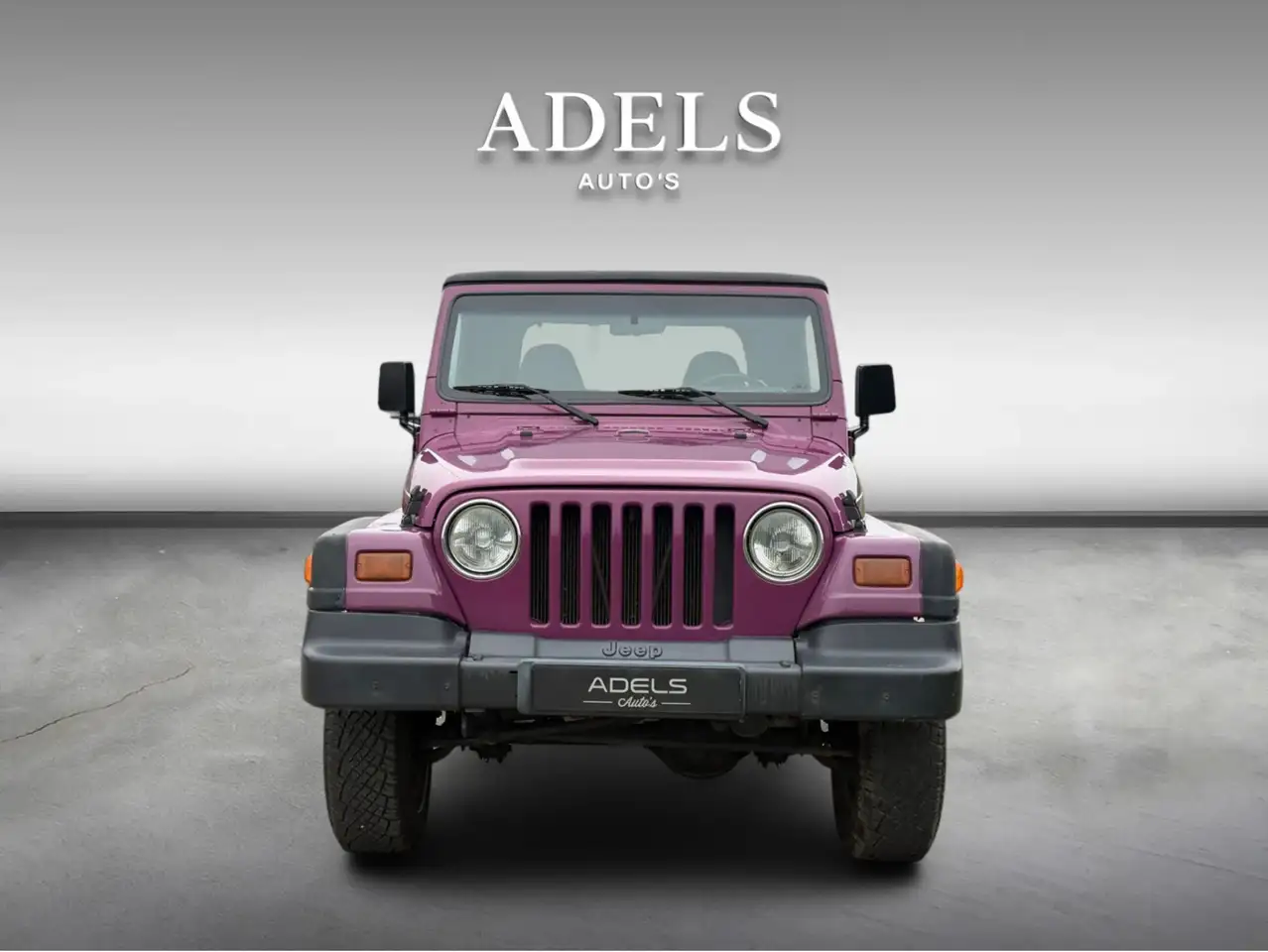Jeep Wrangler 2.5i Softtop Cabrio Twister Uitvoering 90s Classic, foto 3