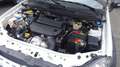 Fiat Strada 1300 MTJ ADVENTURE FIORINO  4 POSTI Blanco - thumbnail 19