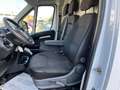 Fiat Ducato 33 MH2 2.2 Mjt3 140CV E6D-fin Bianco - thumbnail 10
