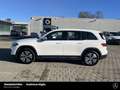 Mercedes-Benz EQB 300 EQB 300 4M Progressive 360° Vorr.-Distronic LED Weiß - thumbnail 2