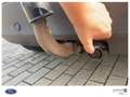 Ford Fiesta Celebration Beige - thumbnail 8