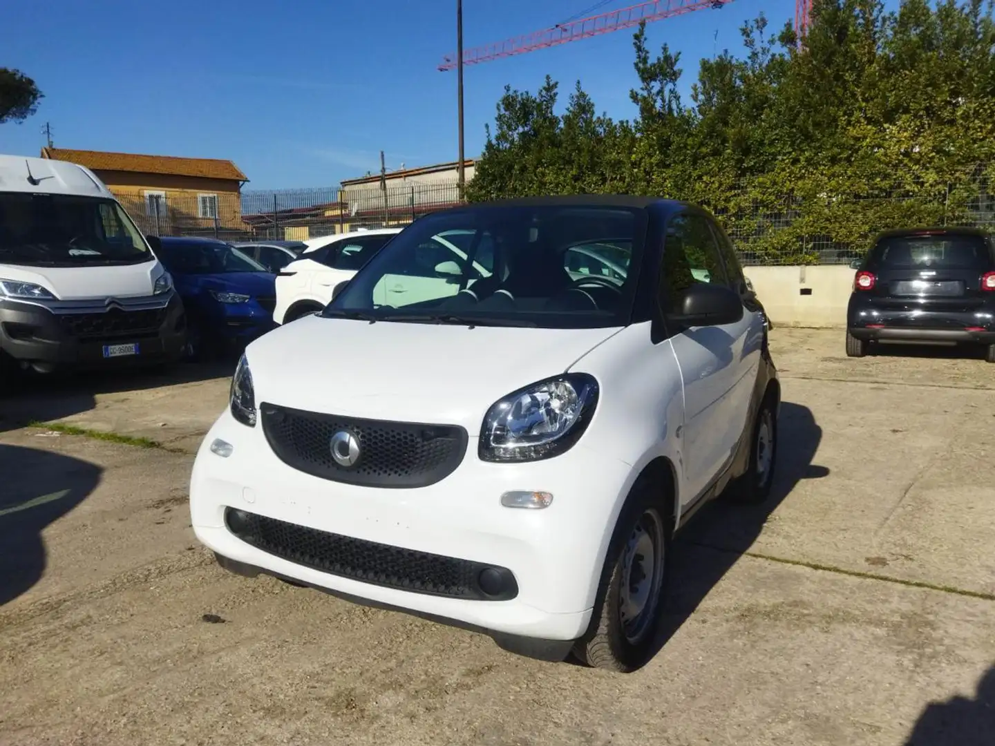 smart forTwo 1.0cc YOUNGSTER 71cv SENS PARK CRUISE Bianco - 1
