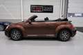 Volkswagen Beetle Cabriolet 1.2 TSI Sound 2018 Airco-ecc Navigatie A Brun - thumbnail 3