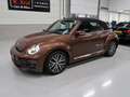 Volkswagen Beetle Cabriolet 1.2 TSI Sound 2018 Airco-ecc Navigatie A Brun - thumbnail 25