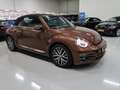Volkswagen Beetle Cabriolet 1.2 TSI Sound 2018 Airco-ecc Navigatie A Brun - thumbnail 24