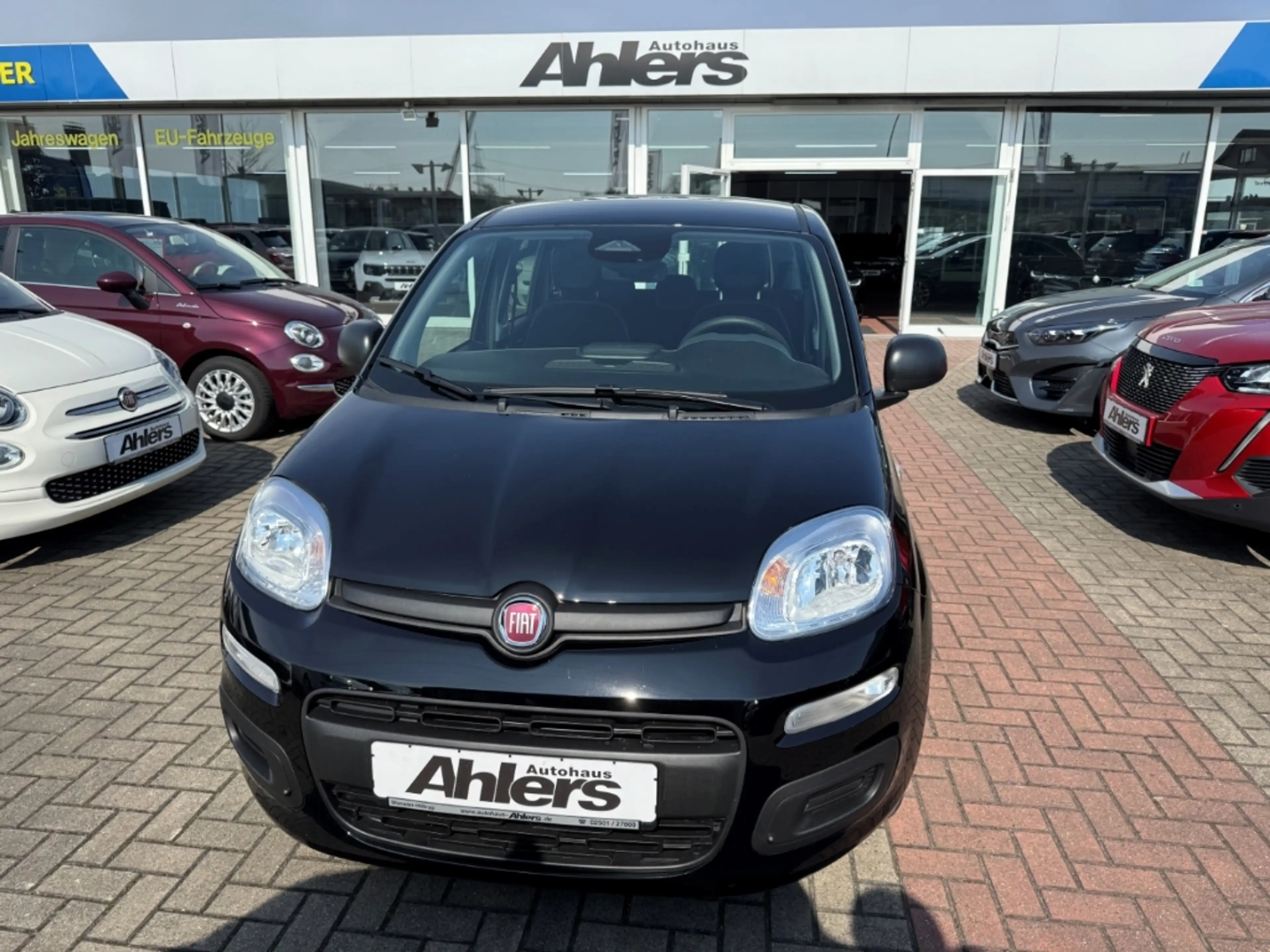 Fiat New Panda Icon+5SITZER+KLIMA+BLUETOOTH+EINPARKHILFE+TEMPOMAT — photo 2