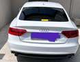Audi A5 Sportback 3.0 V6 tdi Business Plus quattro 245 Bianco - thumbnail 4