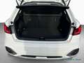 Audi A1 allstreet 30 TFSI SHZ/LED/PDC v+h/Bluetooth Blanco - thumbnail 10