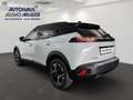 Peugeot 2008 GT 1.2 130 PT Autom.+Alcantara+ SHZ+360CAM Weiß - thumbnail 5