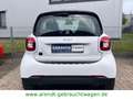 smart forTwo coupe electric drive  EQ *Batt. inkl* Weiß - thumbnail 5