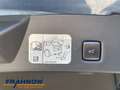 Ford Kuga Plug-In Hybrid Titanium 2.5 Duratec -PHEV EU6d WiP Bleu - thumbnail 17