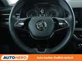 Skoda Kamiq 1.0 TSI Style *LED*TEMPO*PDC*SHZ* Grau - thumbnail 19