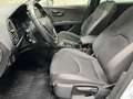 SEAT Leon ST FR 2,0 TDI DSG 4Drive Weiß - thumbnail 9