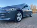 Volkswagen Golf VIII 1.5 TSI Life NEUES MODELL NAVI AHK Grijs - thumbnail 8