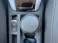 Volkswagen T-Roc 1.5 TSI DSG Life LED ParkAssist Sitzh. PDC Blau - thumbnail 23