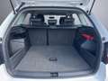 Skoda Fabia Combi Active 1,0 Weiß - thumbnail 18