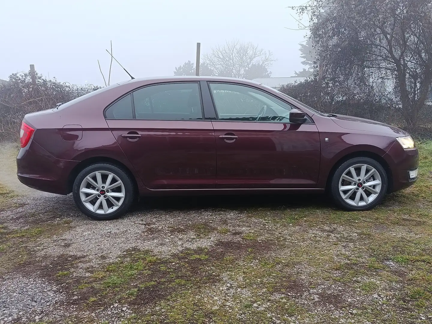 Skoda Rapid/Spaceback Rapid 1.6 TDI Elegance Rot - 1