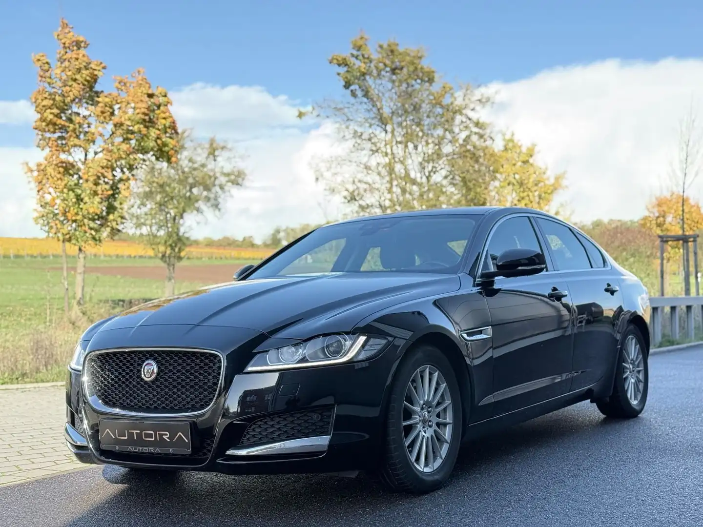 Jaguar XF Portfolio |XENON|NAVI|R.KAM|AHK| Schwarz - 2