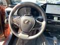 Lexus UX 300h 300h F Sport Design - thumbnail 14