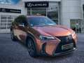 Lexus UX 300h 300h F Sport Design - thumbnail 8