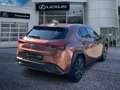 Lexus UX 300h 300h F Sport Design - thumbnail 7