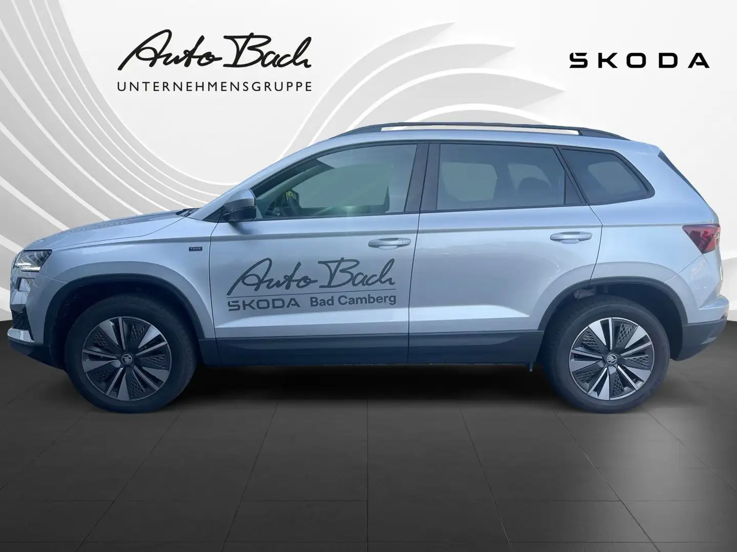 Skoda Karoq Tour 2.0 TDI 110 kW 7-Gang-DSG Plateado - 2