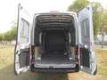 Ford Transit FT 350 L4 Van Ambiente Tr. Tra. 130 Grau - thumbnail 10
