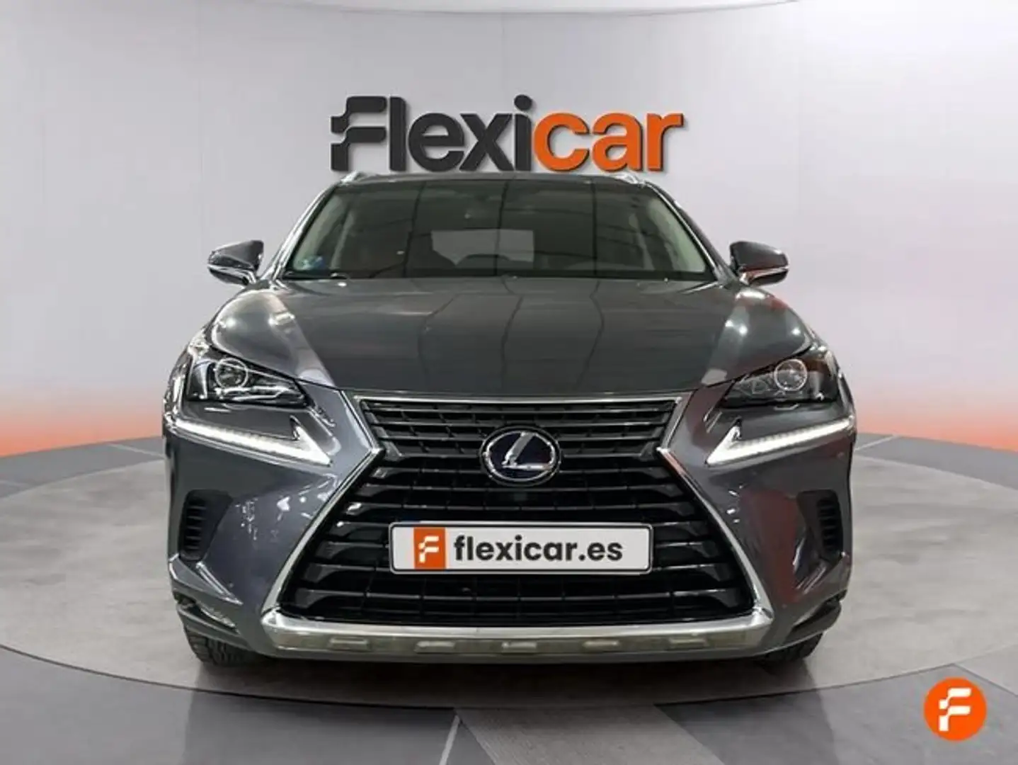 Lexus NX 300 300h Business 2WD Grau - 2