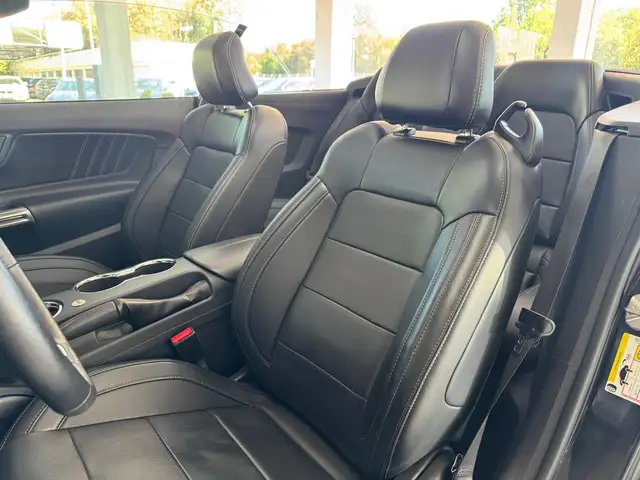 Ford Mustang view 14