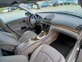 Mercedes-Benz E 220 E 220 CDI Aut. Grau - thumbnail 13