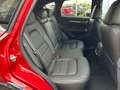 Mazda CX-5 CX-5 2.2 Homura Plus Pack awd 184cv auto Rojo - thumbnail 12