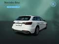 Audi A4 A4 35 2.0 TDI AHK+ACC+MASSAGE+SITZHZ+PDC+NAVI Weiß - thumbnail 5