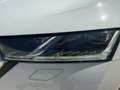 Skoda Octavia Combi 2.0 TDI DSG 4x4 CLEVER MATRIX+NAV Weiß - thumbnail 16