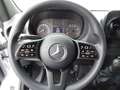 Mercedes-Benz Sprinter 317 CDI Kasten L2H2 RWD / AHK 3500 KG Weiß - thumbnail 11