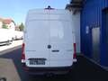 Mercedes-Benz Sprinter 317 CDI Kasten L2H2 RWD / AHK 3500 KG Weiß - thumbnail 10