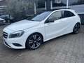 Mercedes-Benz A 180 Urban BlueEfficiency Voll Panorama Weiss SHeft Top Weiß - thumbnail 6