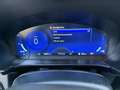 Ford Kuga Kuga 1.5 ecoblue ST-Line X 2wd 120cv auto Gris - thumbnail 12
