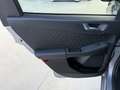 Ford Kuga Kuga 1.5 ecoblue ST-Line X 2wd 120cv auto Gris - thumbnail 17