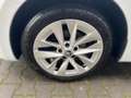 Skoda Octavia Combi 2.0 TDI DSG STYLE +AHK +LED +HuD +NAVI +TEM Weiß - thumbnail 7